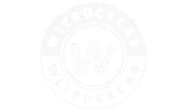 Logo do rodapé